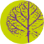 Praxis für Allgemeinmedizin logo